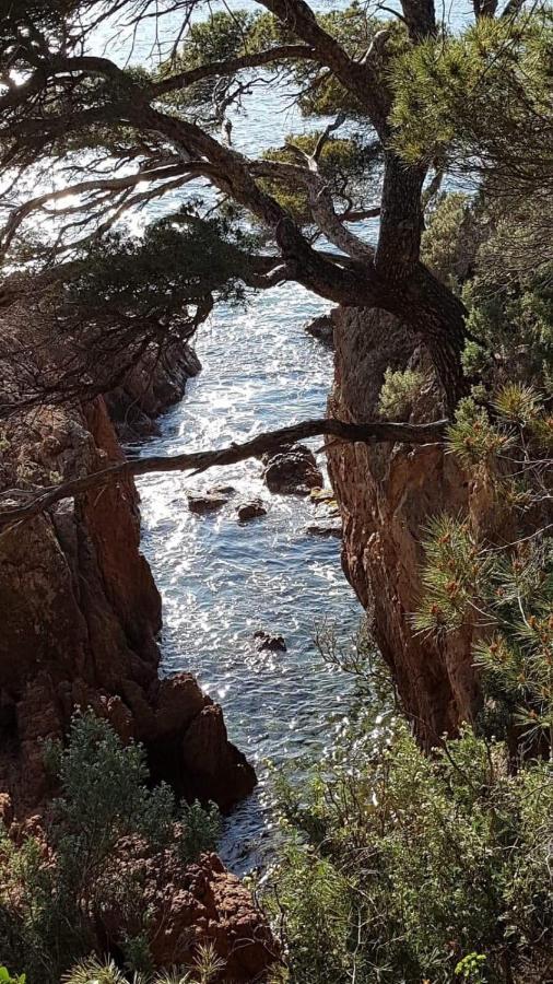 Saint Raphael, Cap Esterel Le Hameau. Vue Mer Екстер'єр фото